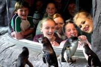 Akaroa Shore Excursion: Banks Peninsula, Christchurch City Tour and the International Antarctic Centre