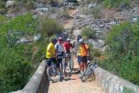 Albufeira to Algibre Trails Bike Tour