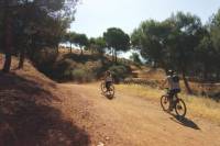 Alhambra Countryside Electric Bicycle Tour in Granada