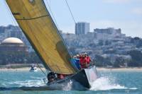 America's Cup Sailing Adventure on San Francisco Bay