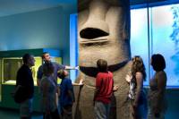 American Museum of Natural History Early Access VIP Tour
