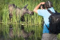 Anchorage Sunset Photography Tour