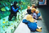 Aquarium of the Pacific with Transportation from Anaheim