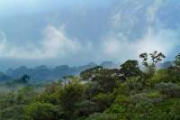 Arenal Hanging Bridges Hike