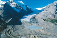 Athabasca Glacier Snow Trip from Banff