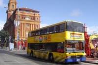 Auckland Hop-on Hop-off Tour