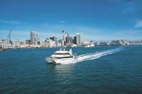 Auckland Shore Excursion: City Sightseeing, Harbor Cruise and Waiheke Island Wine Tasting