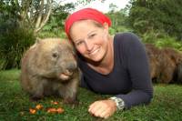 Australia Zoo and Sunshine Coast Day Trip from Brisbane