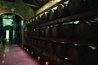 Azeitao: Private Wine Experience Guided Tour From Lisbon