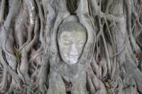 Bang Pa and Ayutthaya Historical Park Tour from Bangkok - Coach and Cruise with Italian Speaking Guide