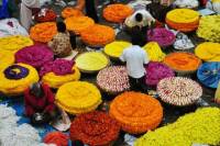 Bangalore Culture and Heritage Walking Tour