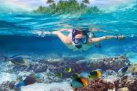 Bavaro Self-Drive Speedboat Tour with Snorkeling and Snuba from La Romana