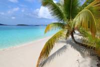 Beach Day Pass at Honeymoon Beach in St John