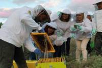 Become a Beekeeper for a Day in Nafplio