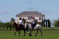 Become a Polo Player: Day Trip to Puesto Viejo Estancia