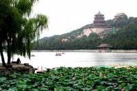 Beijing Private Sightseeing Tour with Acrobatic Show