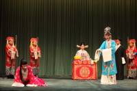 Beijing Private Tour: Peking Opera and Peking Duck Gourmet Dinner with Transfer
