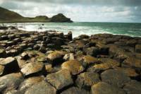 Belfast Shore Excursion: Giant's Causeway and City Sightseeing Tour