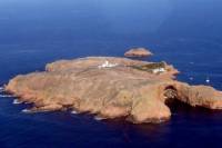 Berlengas Tour from Lisbon