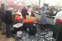 Best Fish Experience From Porto