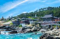 Best of Busan With Yonggungsa Temple, Yongdusan Park and Dongbaek Island