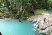 Blue Hole and River Gully Rain Forest Adventure Tour from Kingston