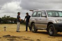 Blue Mountains 4WD Tour