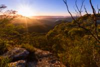 Blue Mountains Small-Group Day Hike