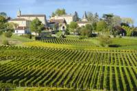 Bordeaux Shore Excursion: Private St-Emilion Half-Day Trip