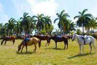 Braco Stables Hike and Bike Excursion Tour from Falmouth