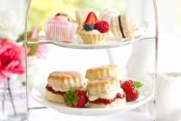 Brisbane River High Tea Cruise