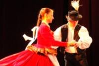Budapest Folklore Show and Danube Dinner Cruise