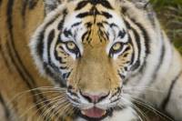 Buenos Aires Zoo