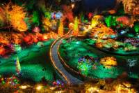 Butchart Gardens Holiday Lights Tour
