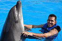 Cabo Dolphin Encounters