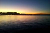 Cairns by Night Walking Tour including Cairns Wildlife Dome and Cairns Night Markets
