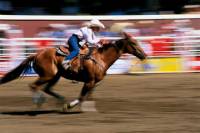 Calgary Stampede Including Overnight Accommodation