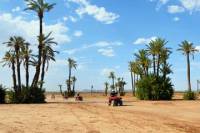 Camel and Quad Biking Tour from Marrakech