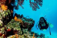 Cancun 2-Tank Reef or Wreck Dive