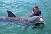 Cancun Dolphin Encounter Program
