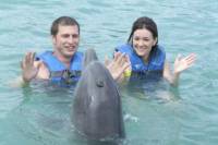 Cancun Dolphin Swim Adventure