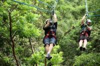 Canopy Tour