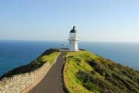 Cape Reinga Half-Day Tour including Scenic Flight