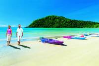 Cape Tribulation, Daintree Rainforest and Wildlife Tour