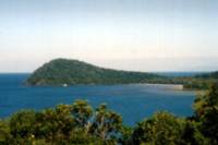 Cape Tribulation, Daintree River Cruise and Bloomfield Track Small Group Tour
