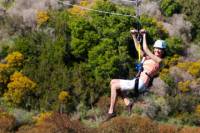 Catalina Island Zipline Eco-Tour from Anaheim or Los Angeles