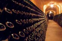 Cavas Freixenet Wine Tour from Mexico City