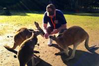 Caversham Wildlife Park, Swan Valley Wine Tasting, The Pinnacles and Sandboarding Day-Trip from Perth