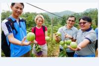 Cebu Panoramic Day Trip