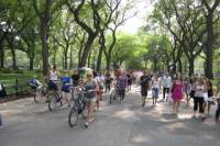 Central Park Bicycle Rental